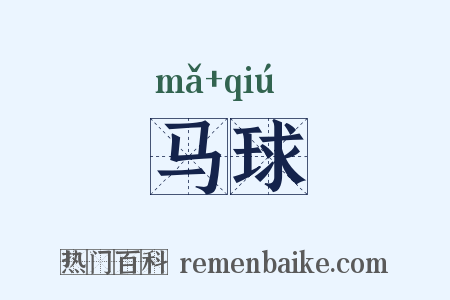马球是什么意思的图片